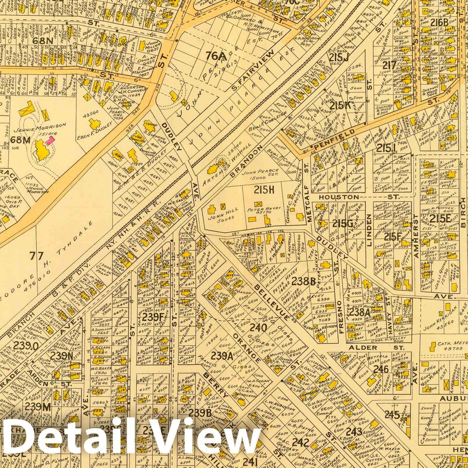 Ward 23, West Roxbury, Boston 1899 Historical Map Print