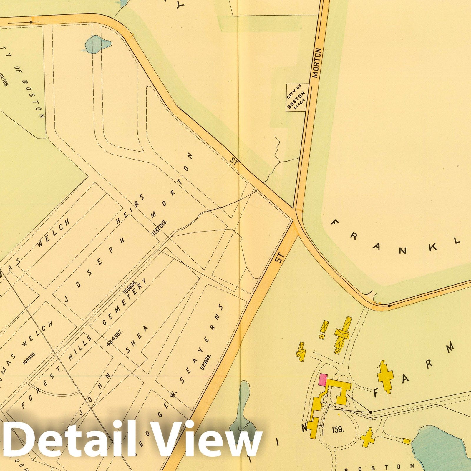 Ward 23, West Roxbury, Boston 1899 Historical Map Print