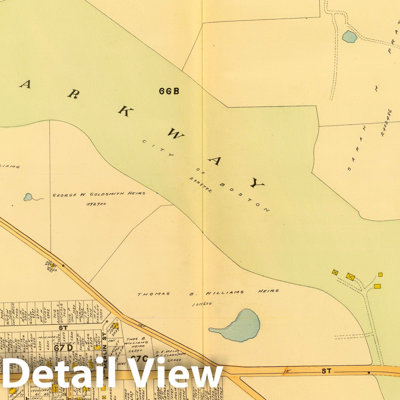 Ward 23, West Roxbury, Boston, Massachusetts 1899 Historical Map Print