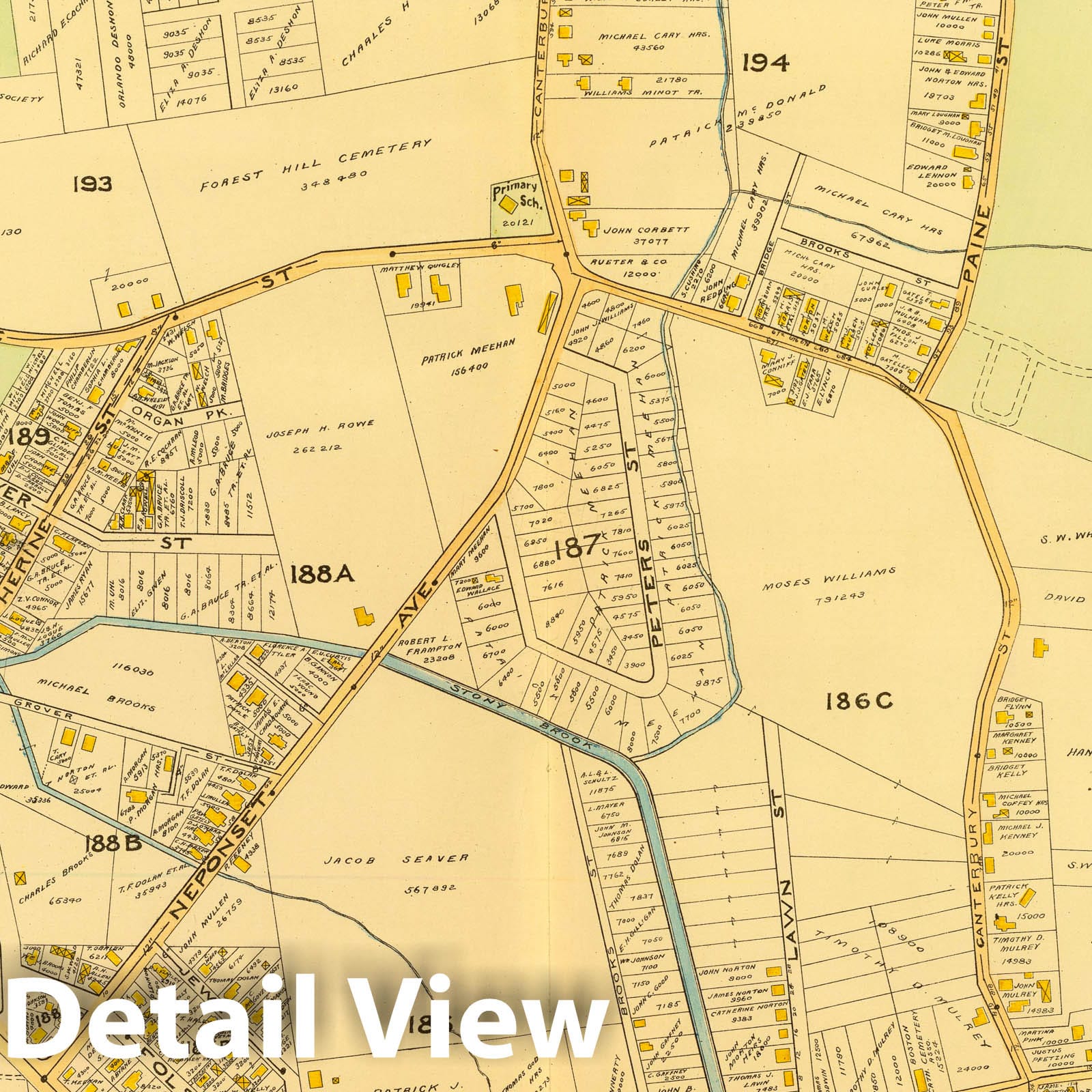 Ward 23, West Roxbury, Boston, Massachusetts 1899 Historical Map Print