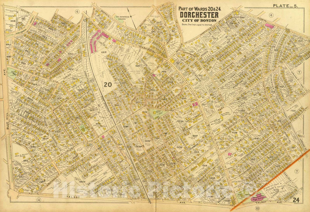 Historic Map : City Atlas - 1899 5. Wards 20, 24 Dorchester. - Vintage Wall Art