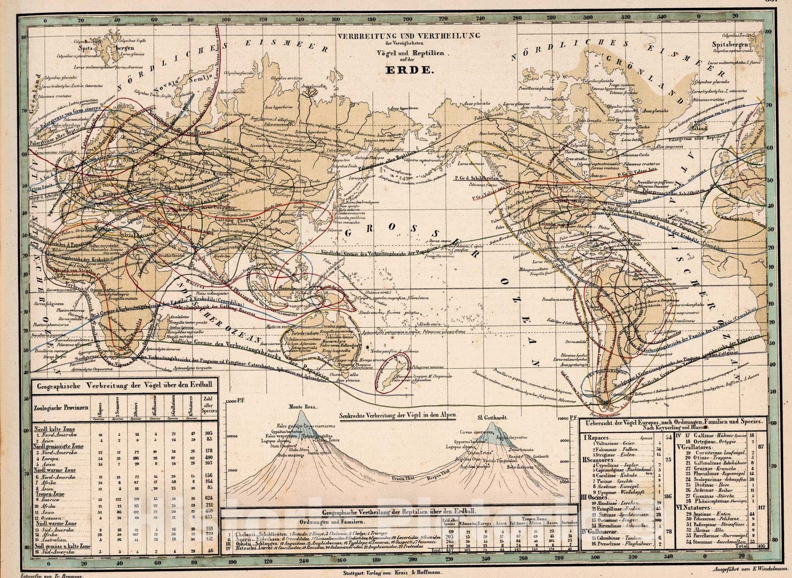 Historic Map : 1851 33. Verbreitung und Vertheilung der Vorzuglichsten Vogel und Reptilien auf der Erde - Vintage Wall Art