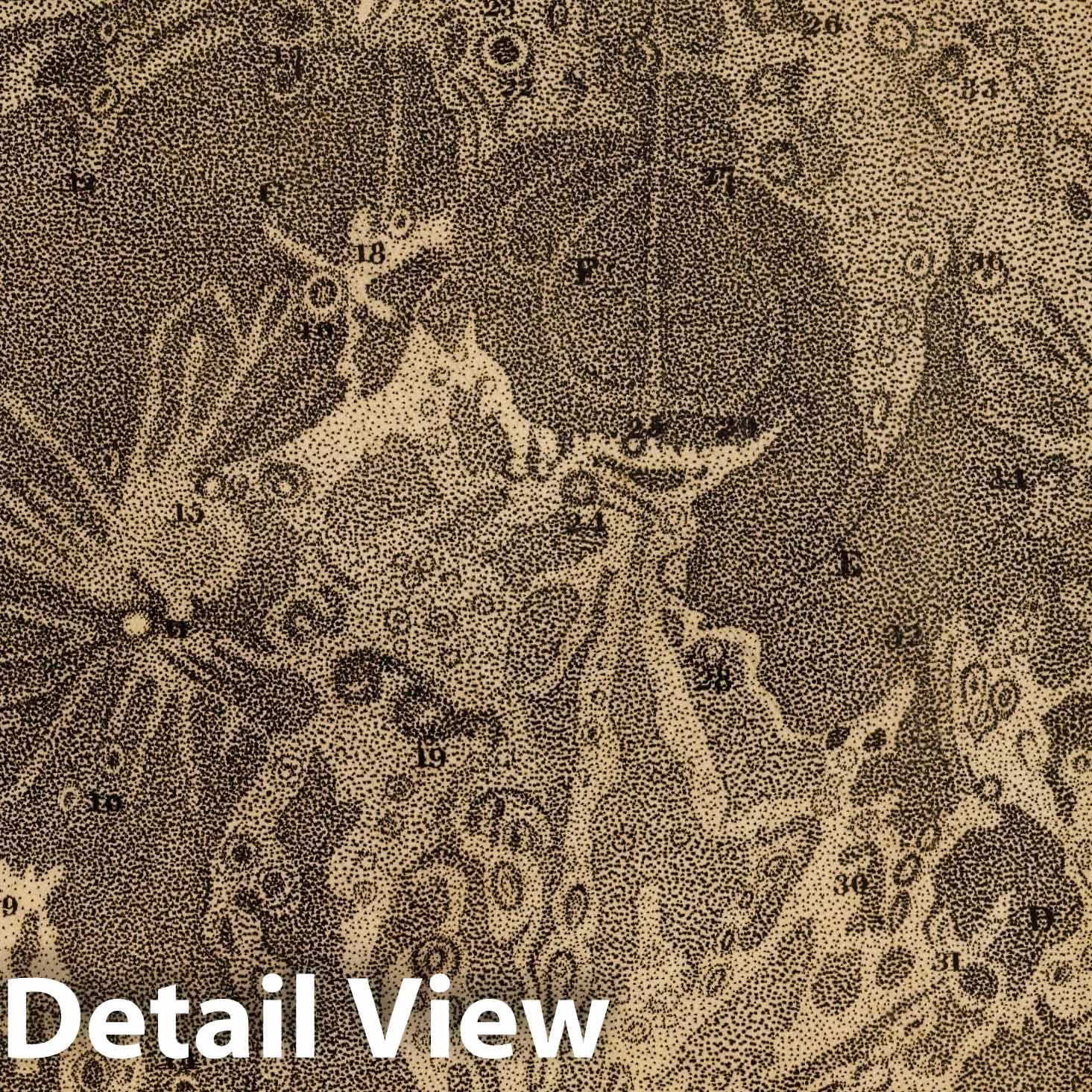 Moon - Celestial Map, 1824 - Historical Astronomical Chart Print