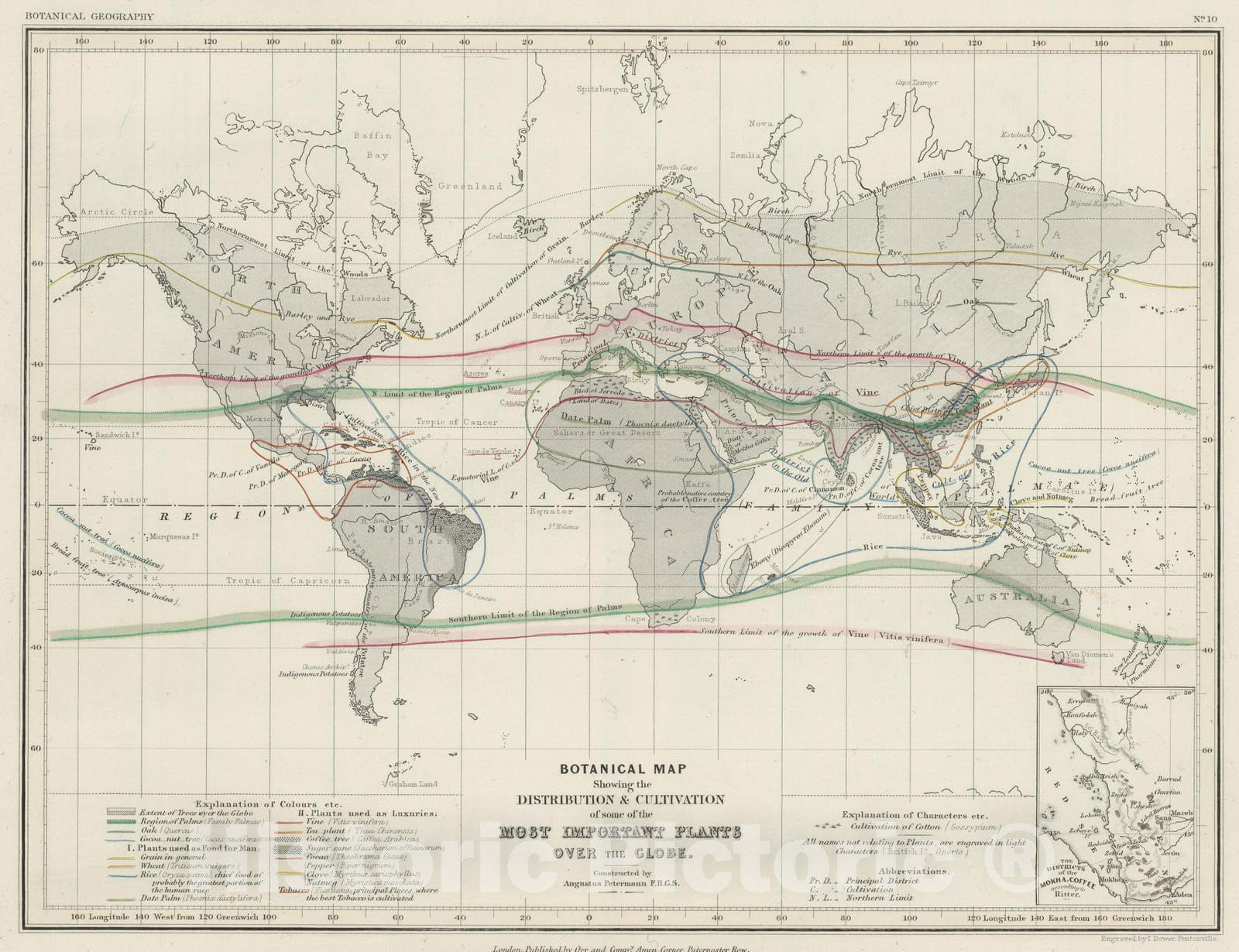 Historic Map : 1850 Distribution of Crops and Trees. - Vintage Wall Art