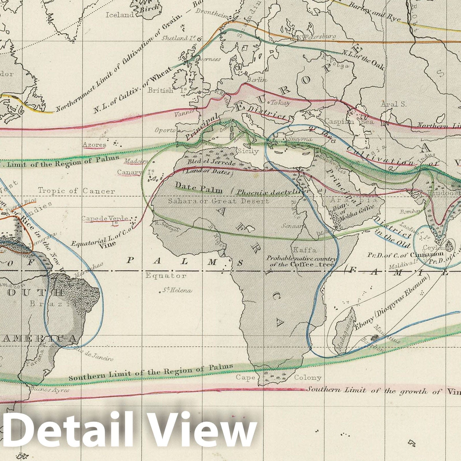 Distribution of Crops and Trees, World - Physical Map, 1850 - Historical Map Print