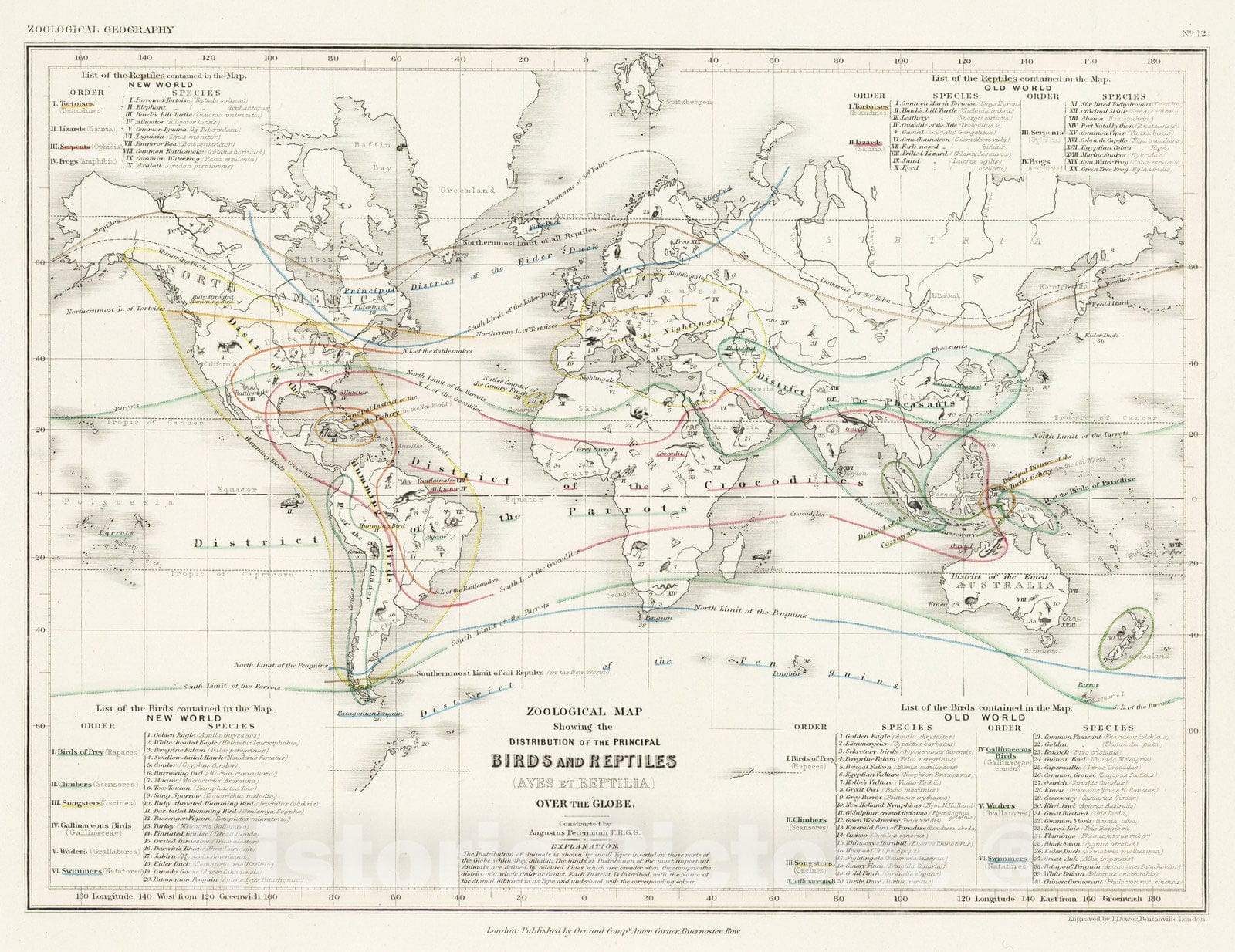Historic Map : 1850 Distribution of Birds and Reptiles. - Vintage Wall Art