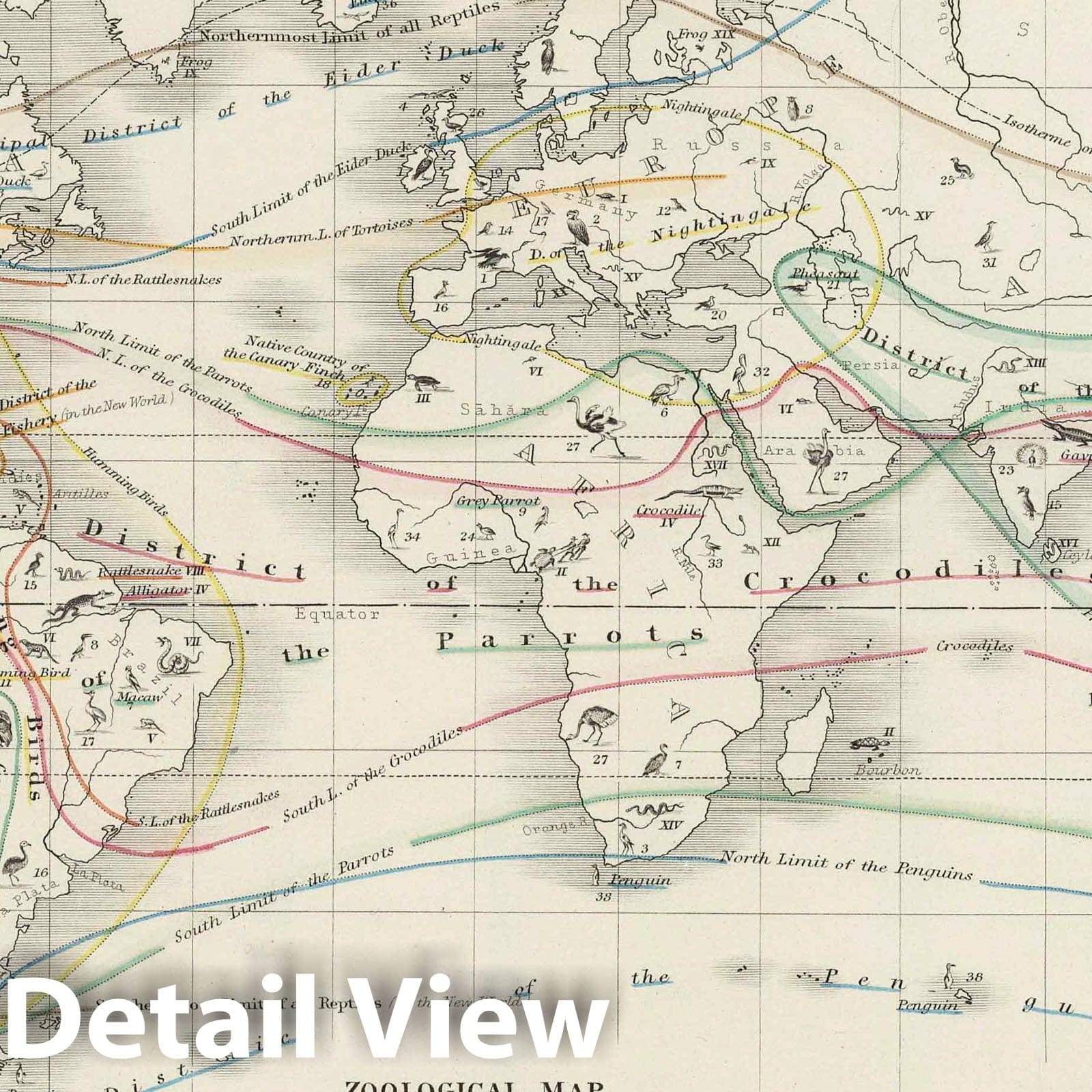 World - Distribution of Birds and Reptiles, 1850 - Historical Map Print