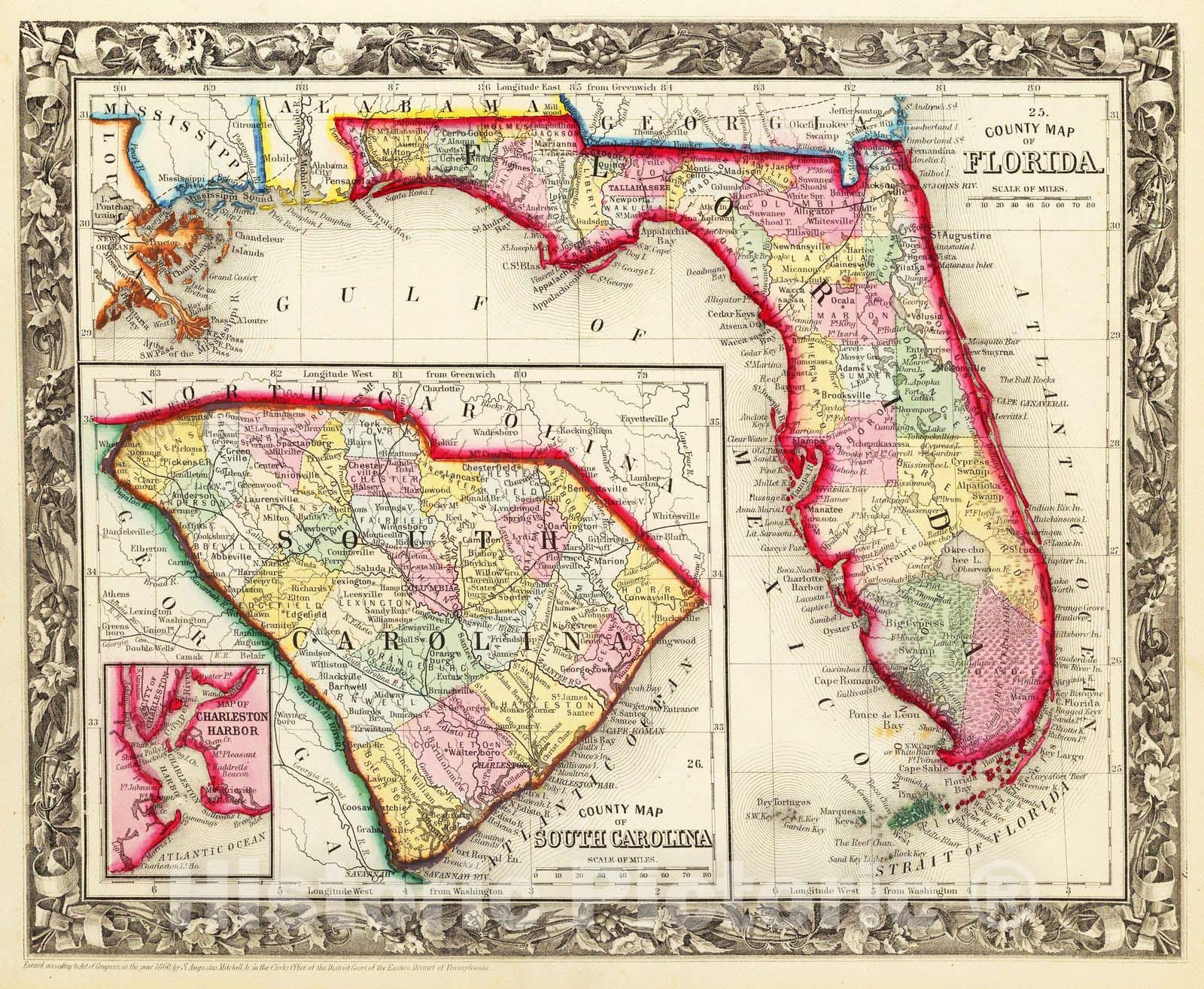 Historic Map : 1860 County Map Of Florida. - Vintage Wall Art