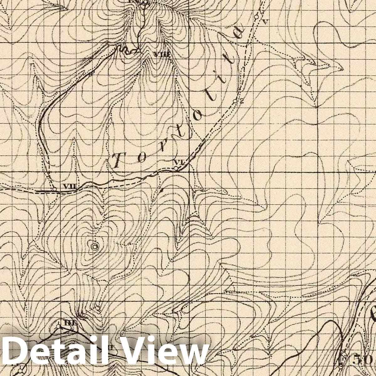 Wheeler Survey: Tortolita and Nogal Peaks, New Mexico - Topographic Map, 1889