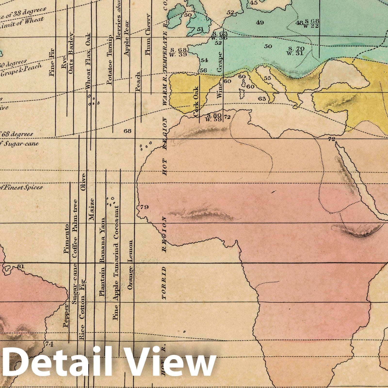 World - Isothermal Chart, 1828 - Historical Map Print