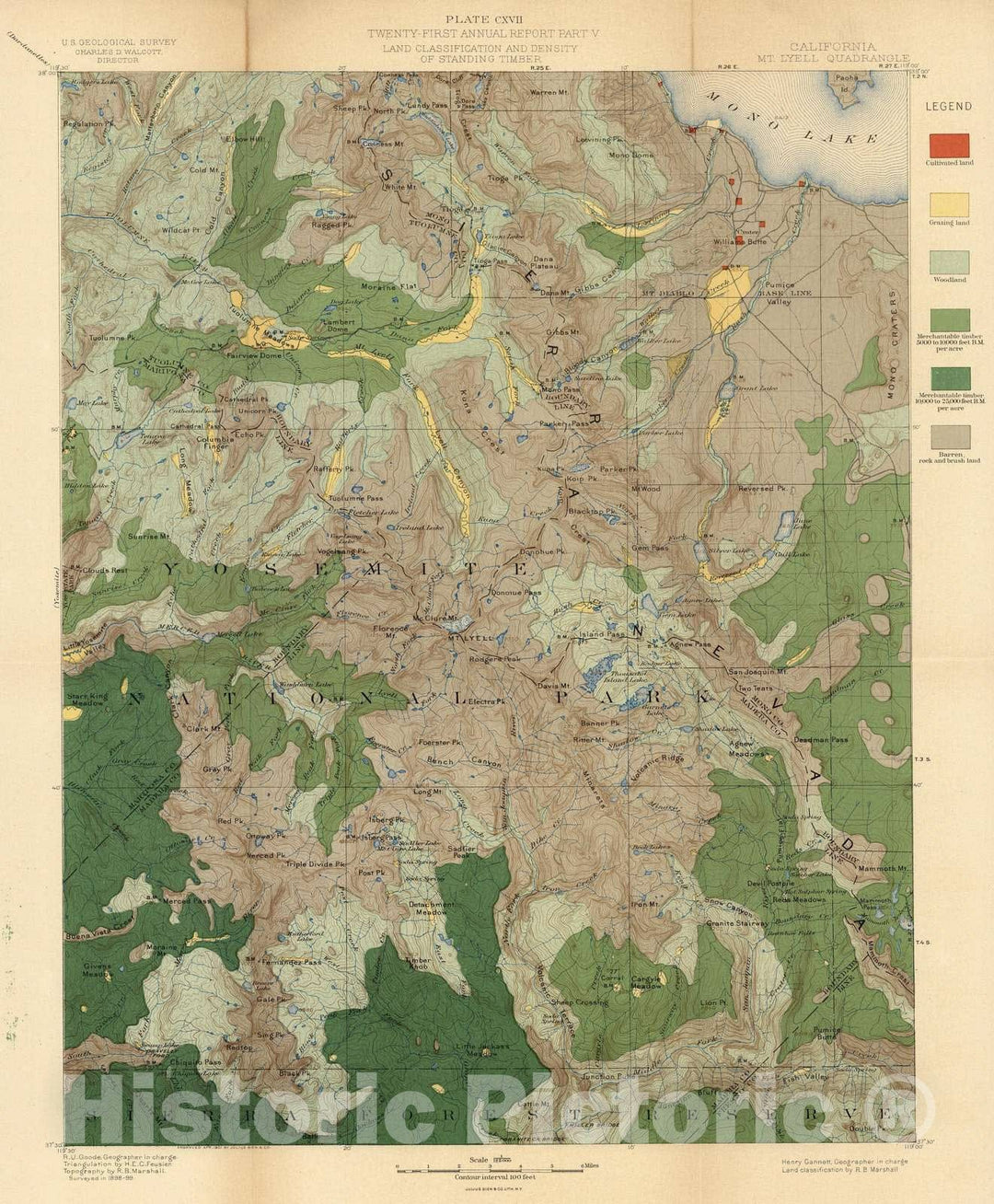 Historic Map : Geologic Atlas - 1900 Plate CXVII. Mt. Lyell Quadrangle, California. Land Classification and Density of Standing Timber. - Vintage Wall Art