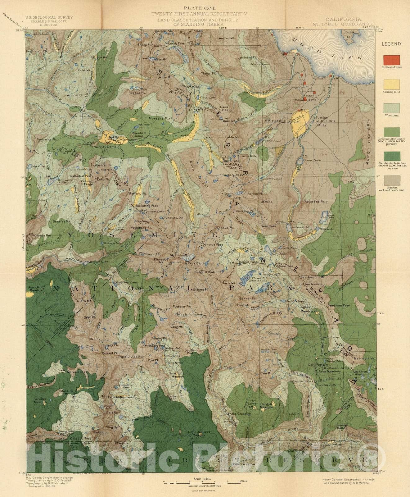 Historic Map : Geologic Atlas - 1900 Plate CXVII. Mt. Lyell Quadrangle, California. Land Classification and Density of Standing Timber. - Vintage Wall Art