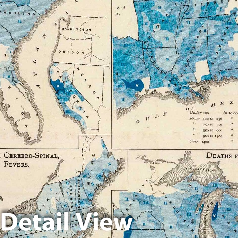 United States Vital Statistics 1875 - Historical Map Print