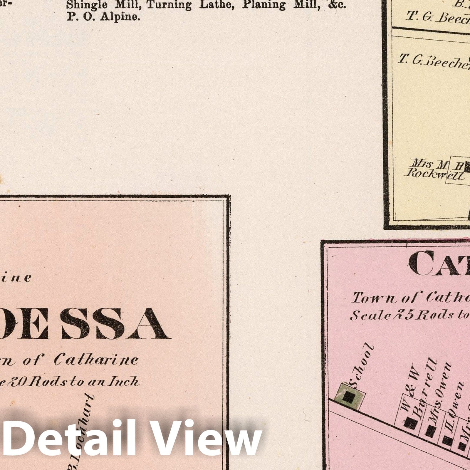 Odessa, Beaver Dams, Catherine, and Cayutaville, New York - Property Map, 1874