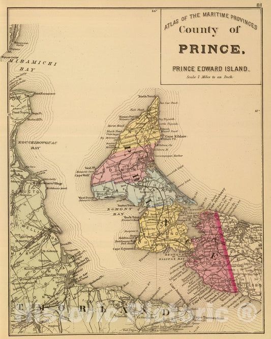 Historic Wall Map : 1878 Prince Co, P.E.I. - Vintage Wall Art