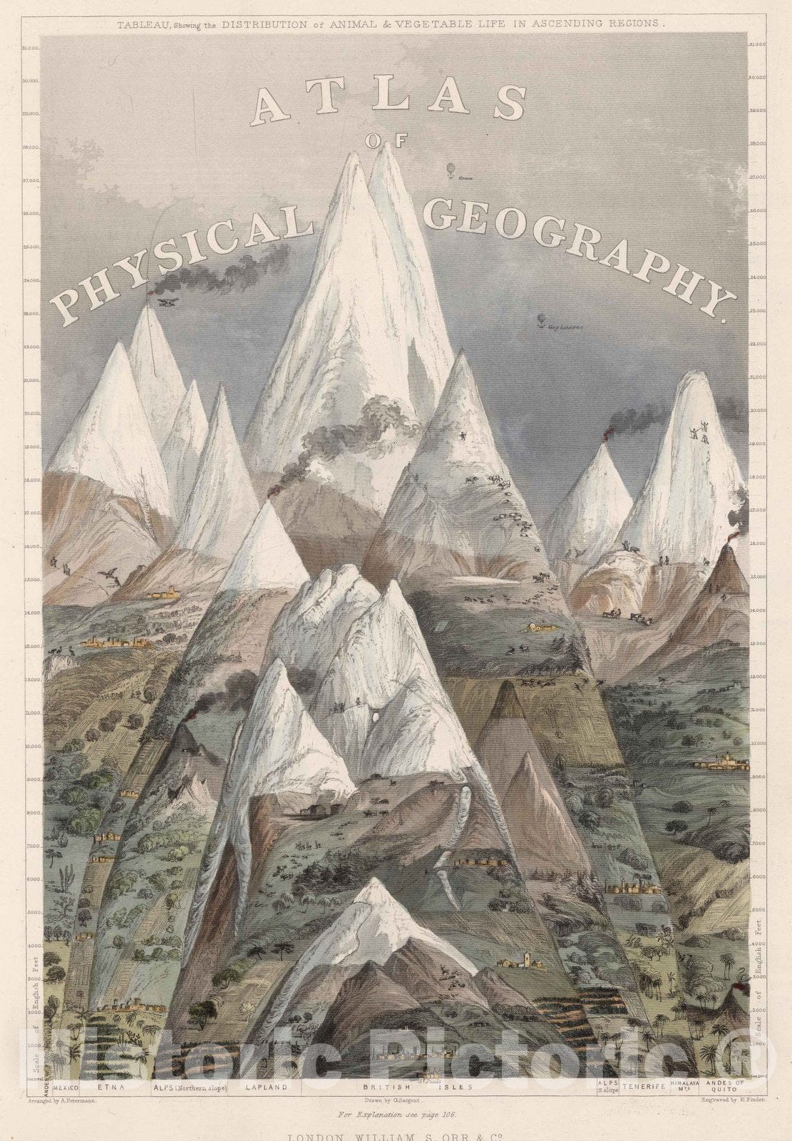 Historic Map : 1850 Frontispiece: Tableau Showing the Distribution of Animal and Vegetable Life in Ascending Regions. - Vintage Wall Art