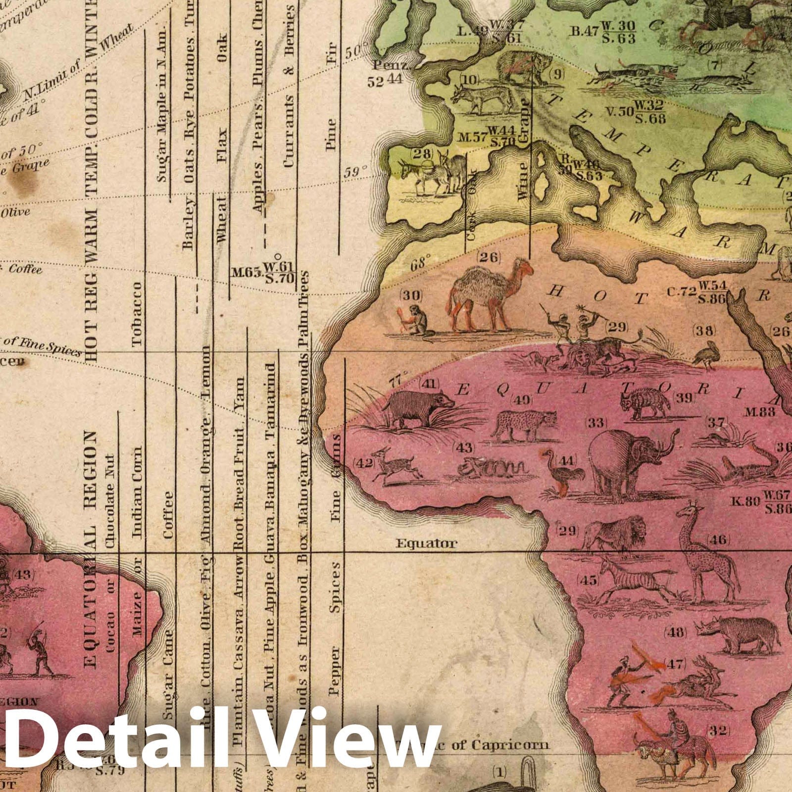 World - Isothermal Chart, 1849 - Historical Map Print