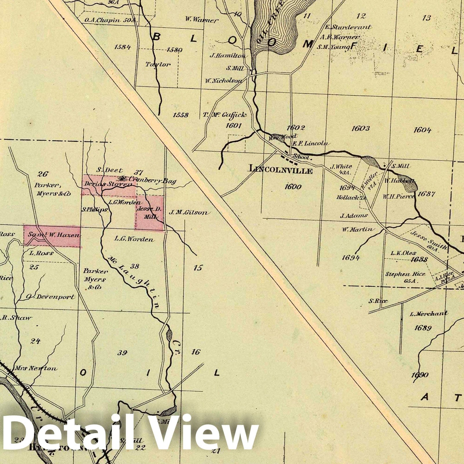 Oil Creek from Titusville to Oil Creek Lake, Pennsylvania 1865 Historical Map Print