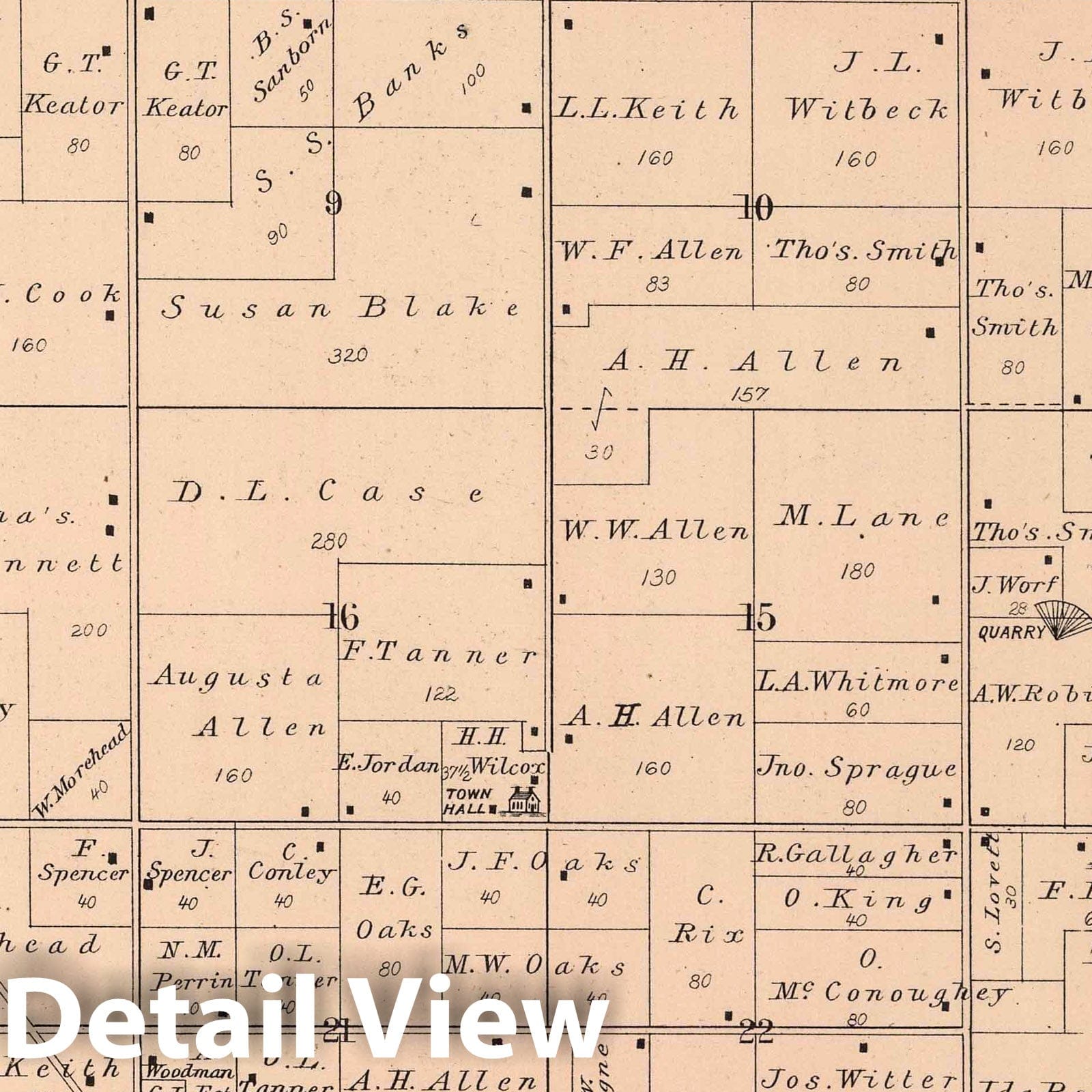 Flora Township, Boone County, Illinois 1886 Historical Map Print