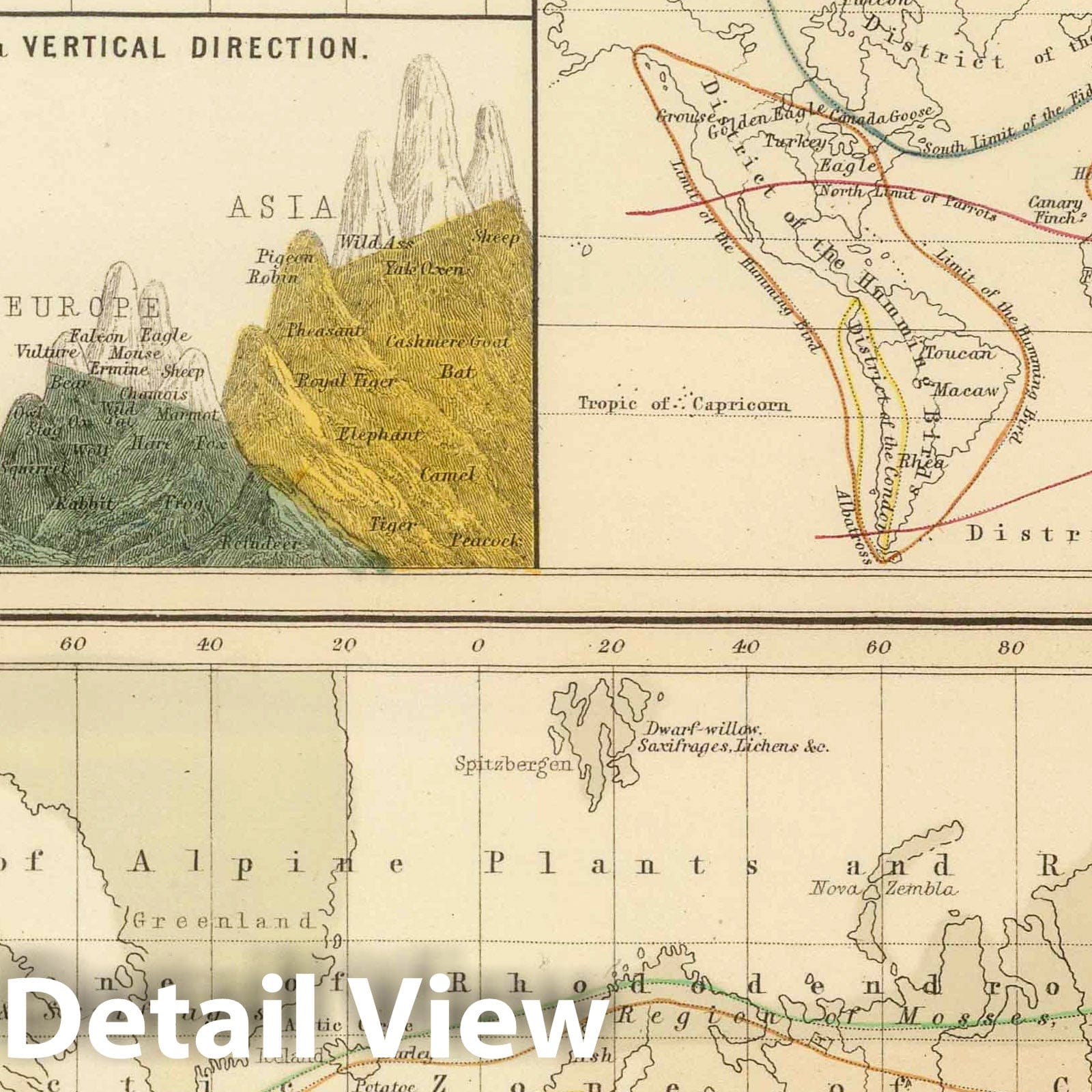 World - Zoological and Botanical Distribution, 1854 - Historical Map Print