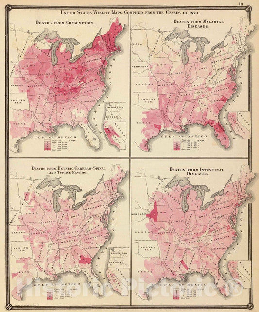 Historic Map : United States vitality maps. Compiled from the Census of 1870. - Vintage Wall Art