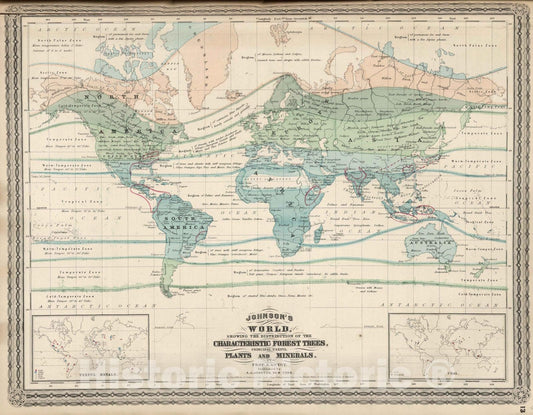 Historic Map : 1870 World, Characteristic Forest Trees, Principal Useful Plants, and Minerals. - Vintage Wall Art