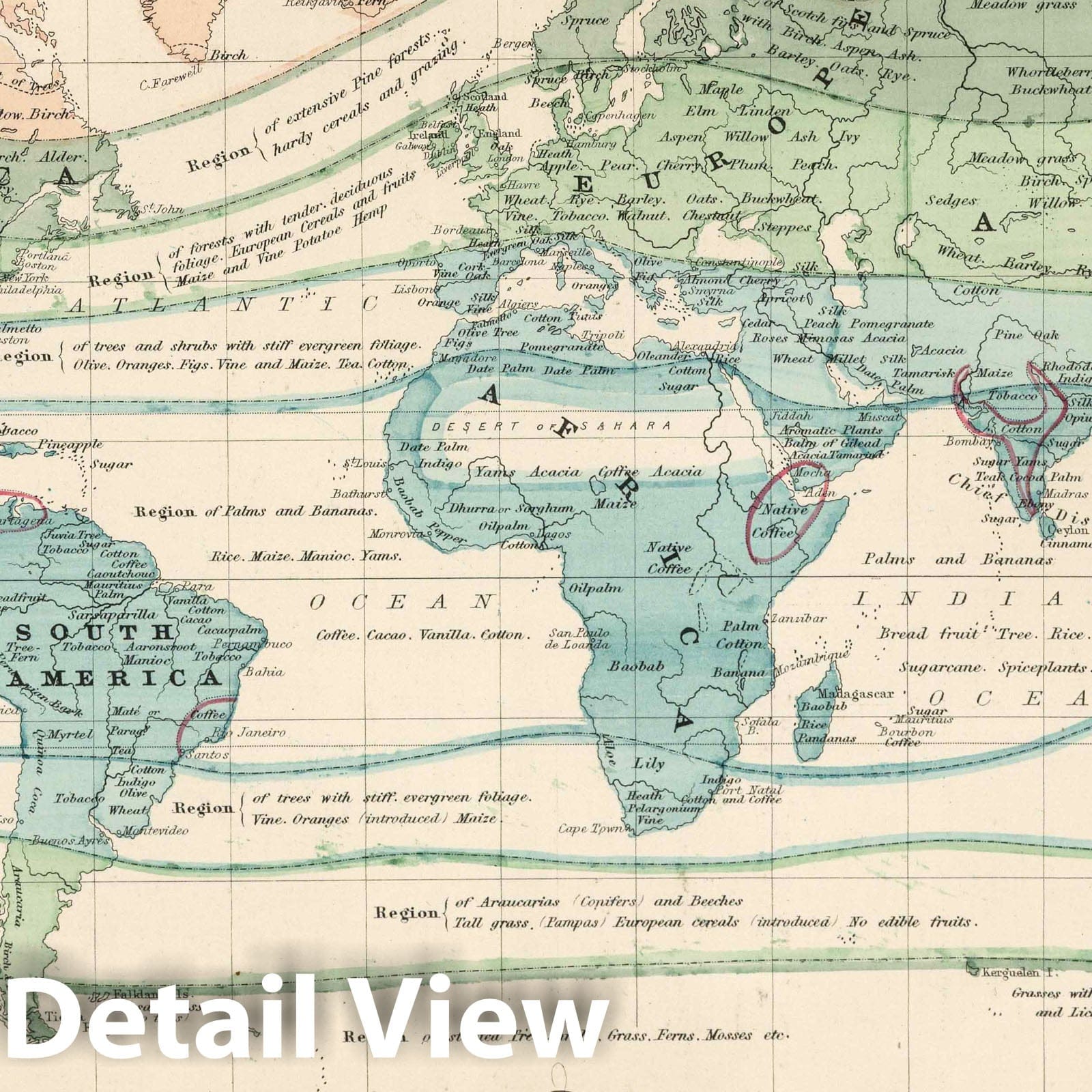 World Map 1870 - Forest Trees, Plants & Minerals - Johnson's Atlas Historical Print