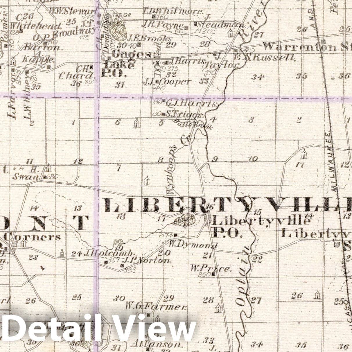 Lake County and Highland Park, Illinois - Railroad Map, 1876