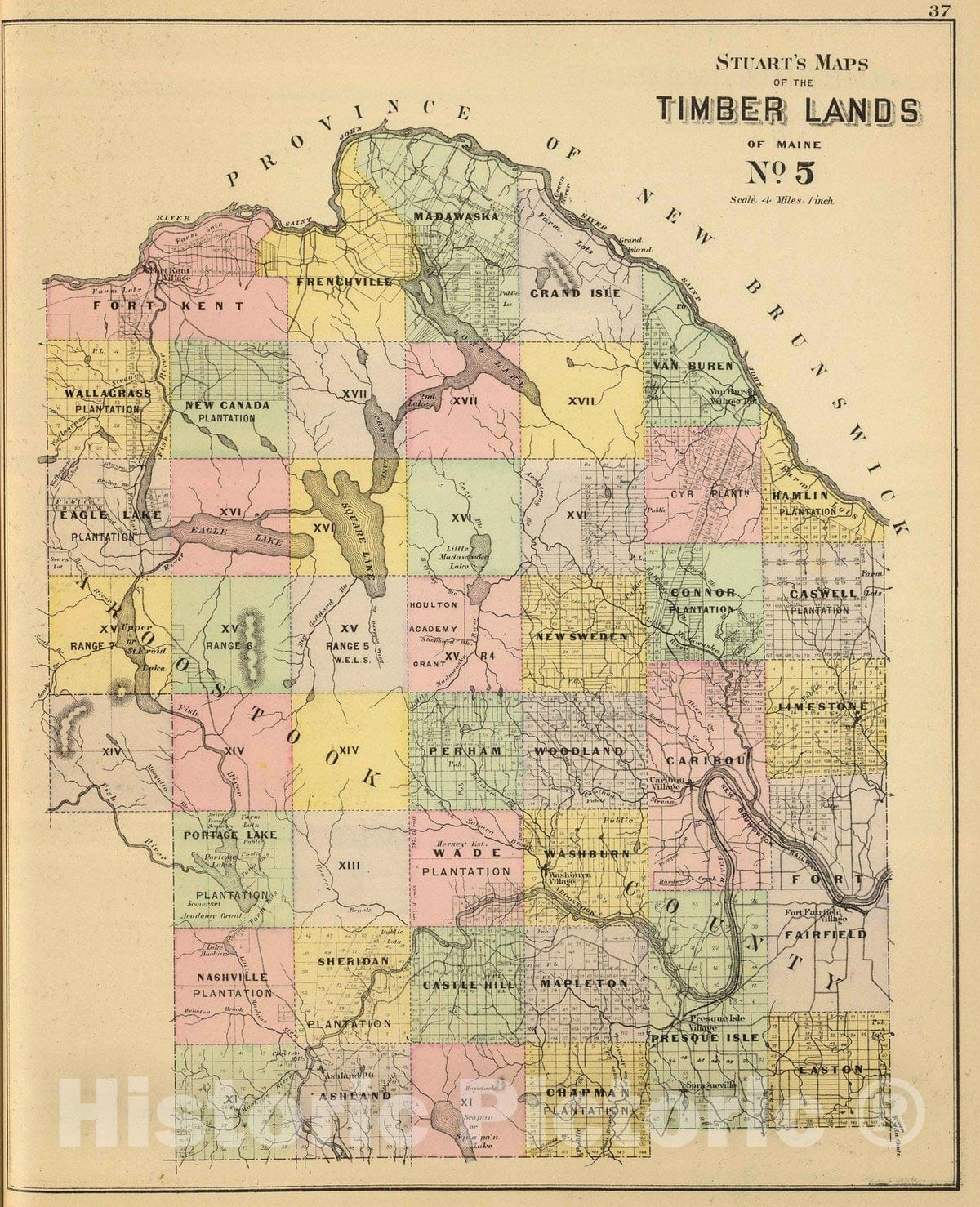 Historic Map : 1894 Timber lands 5. - Vintage Wall Art