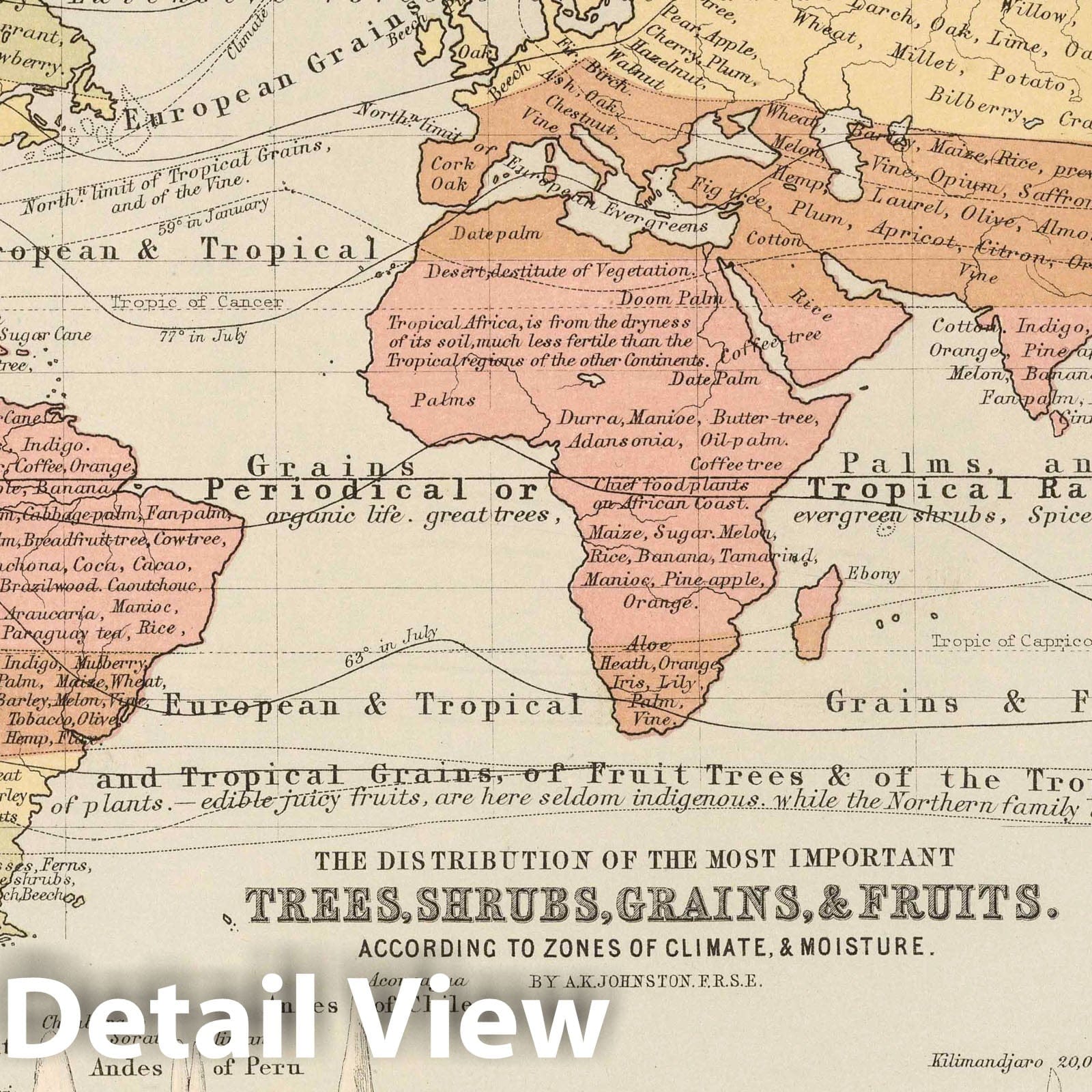World - Vegetation Distribution, 1852 - Historical Map Print