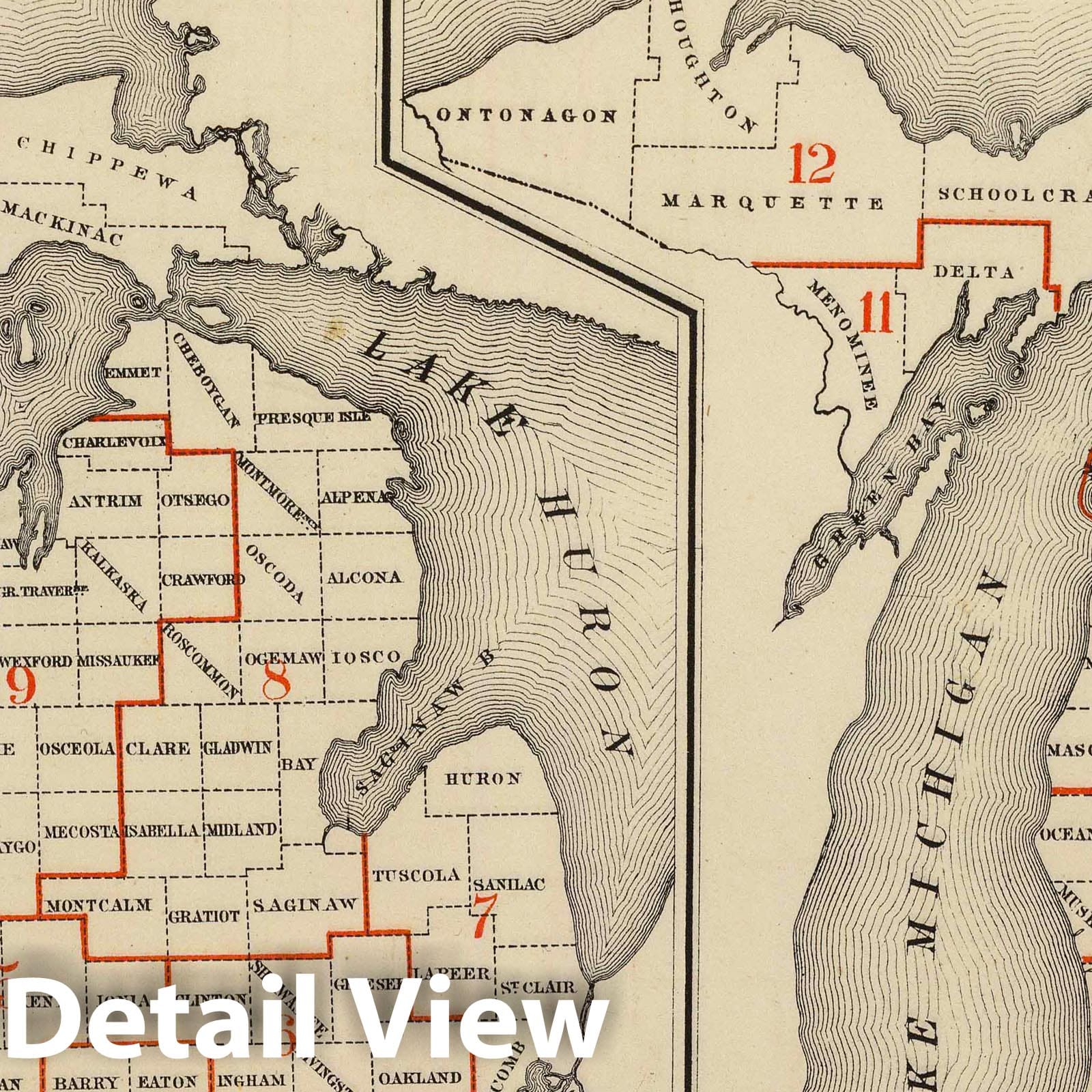 Michigan Thematic Map 1873 - Congressional Districts & Judicial Circuits