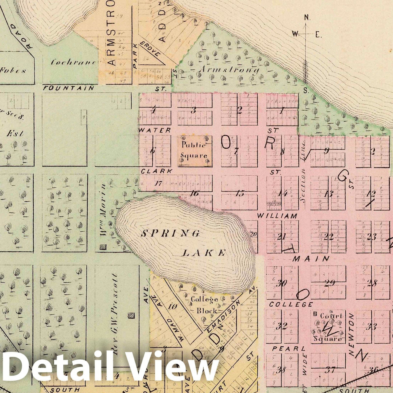 Albert Lea, Freeborn County, Minnesota 1874 Historical Map Print