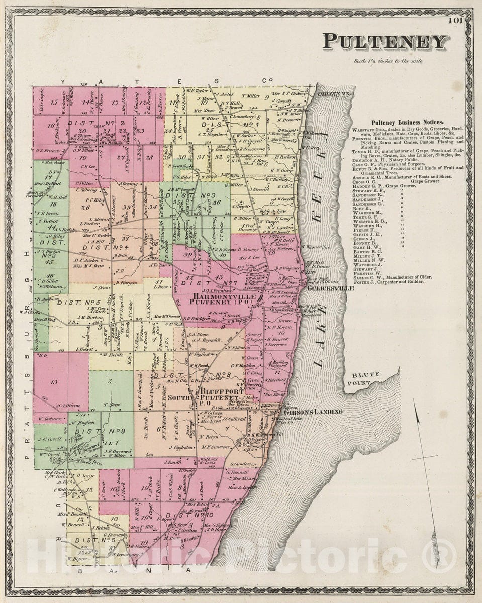Historic Map : 1873 Pulteney. - Vintage Wall Art