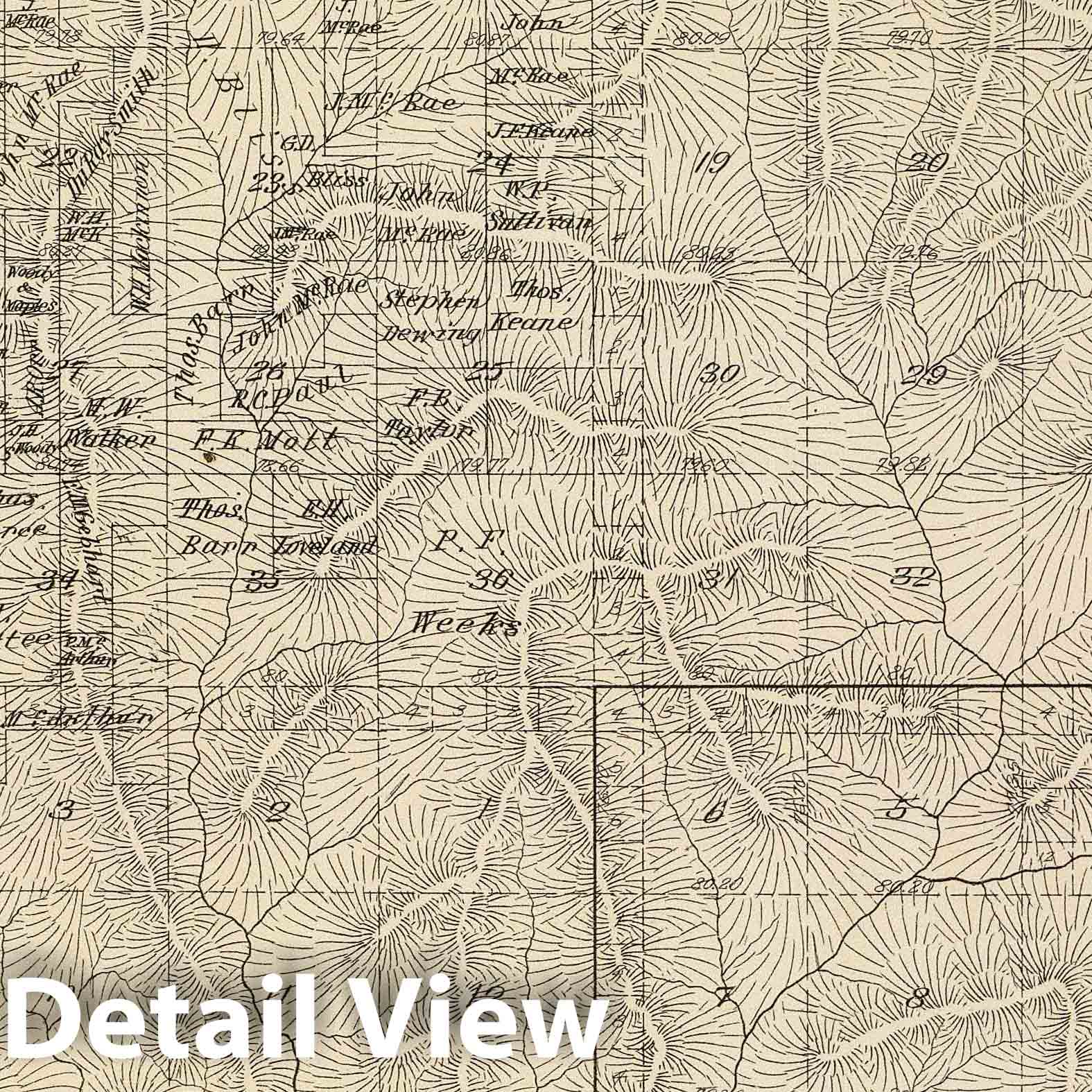 1892 Tulare County California Survey Map - Townships 14-15S, Range 28-29E
