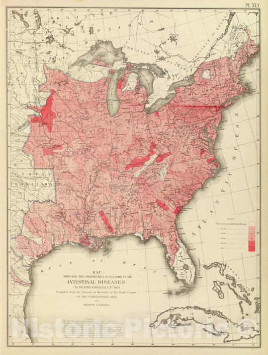 Historic Map : Statistical Atlas - 1874 Intestinal diseases deaths US. - Vintage Wall Art