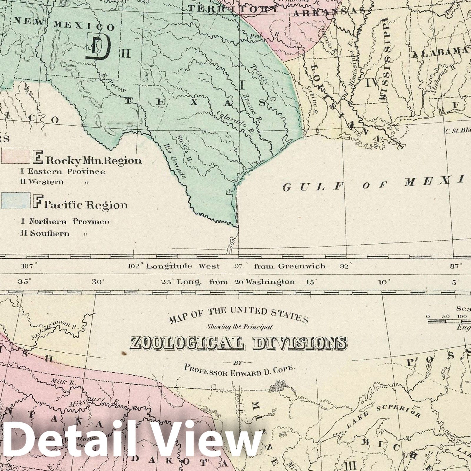 United States - Botanical and Zoological Maps, 1878 - Historical Map Print
