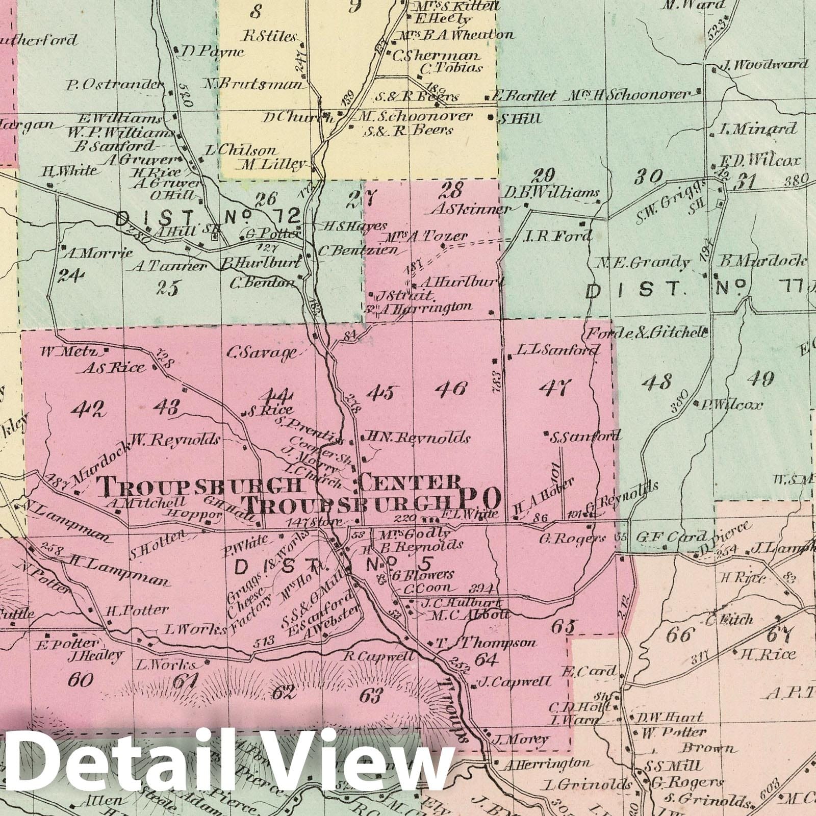 Troupsburgh, Steuben County, New York, 1873 - Historical Map Print
