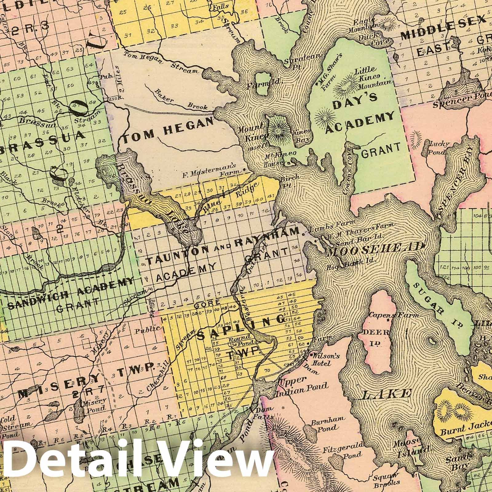 Piscataquis and Somerset Counties, Maine - 1894 Historical Map Print