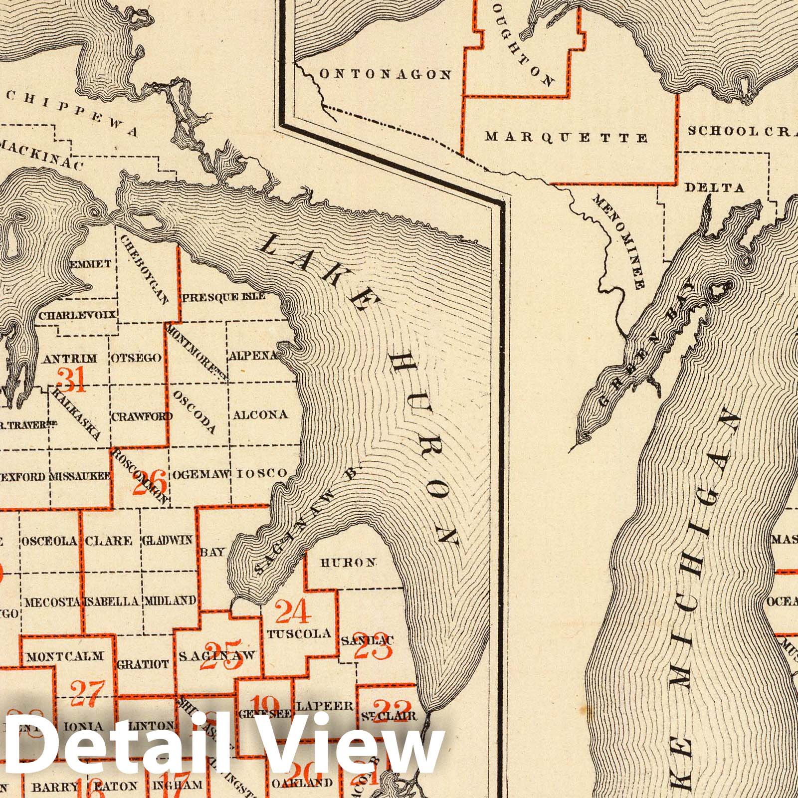 Michigan - Senatorial and Representative Districts, 1873 Historical Map Print