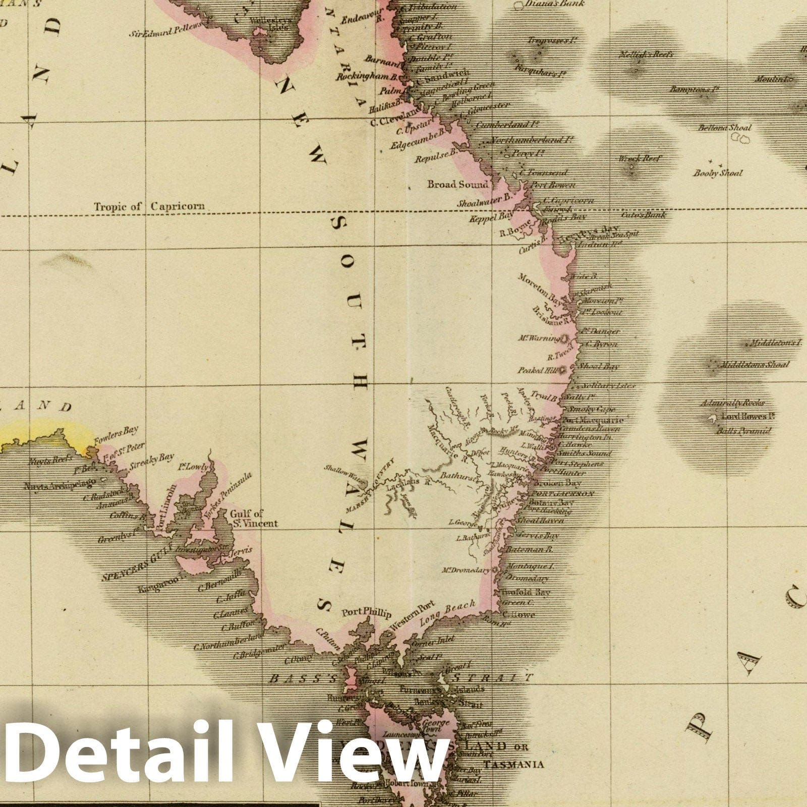 Australia, New South Wales, and Tasmania, 1831 - Historical Map Print