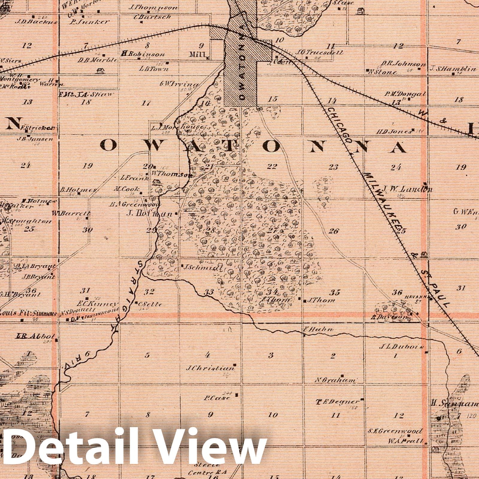 Steele County, Minnesota - Railroad Map, 1874 - Historical Map Print