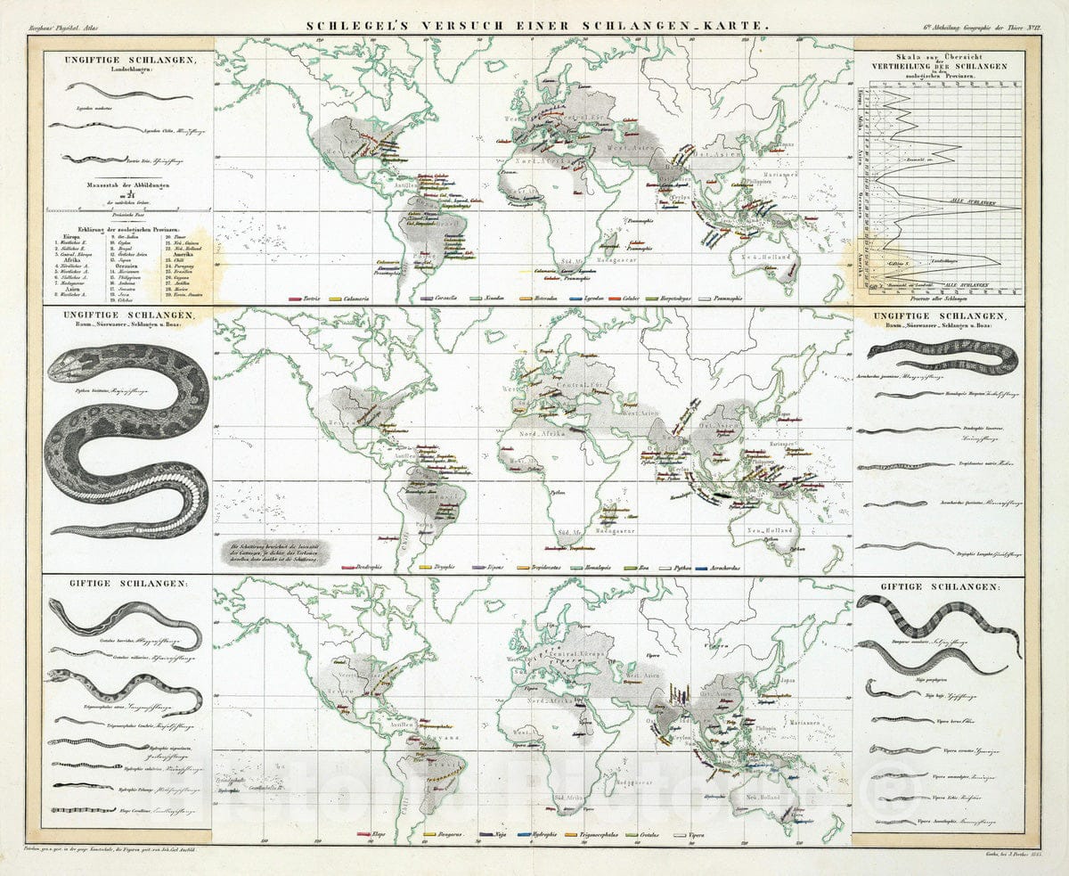 Historic Map : 1845 Schlegel's Versuch Einer Schlangen-Karte. - Vintage Wall Art