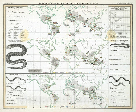 Historic Map : 1845 Schlegel's Versuch Einer Schlangen-Karte. - Vintage Wall Art