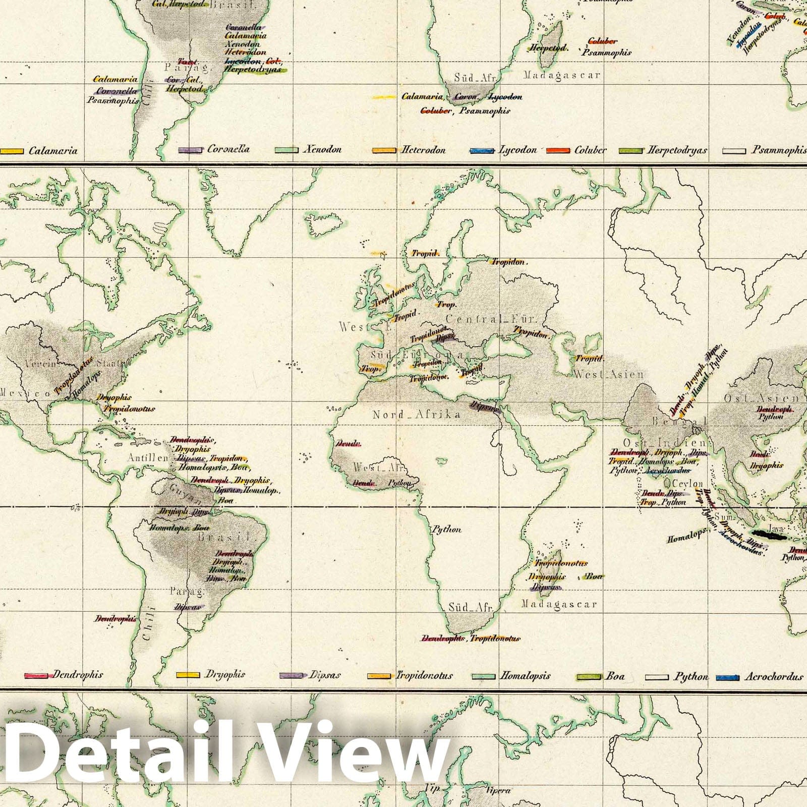 World Snake Distribution Map - Physical Map, 1845 - Historical Atlas Print