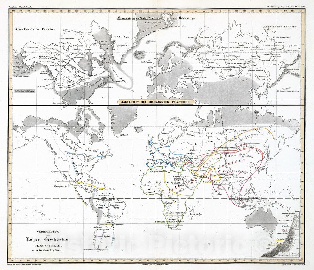 Historic Map : 1845 Verbreitung des Katzen-Geschlechts, Genus-Felis, so wie der Hyane. - Vintage Wall Art