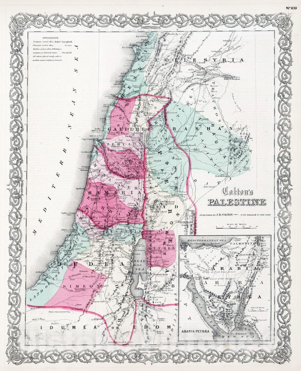 Historic Map : 1865 Palestine. v2 - Vintage Wall Art