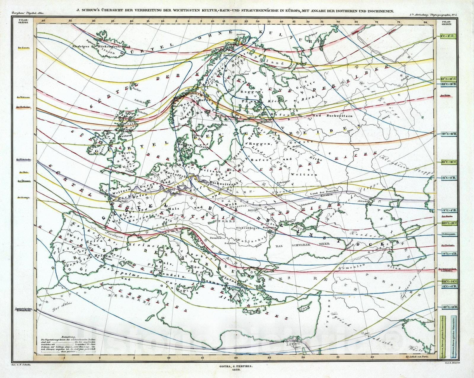 Historic Map : 1839 Verbreitung Der Wichtigsten Kultur, Baum - Und Strauchgewachse In Europa. - Vintage Wall Art