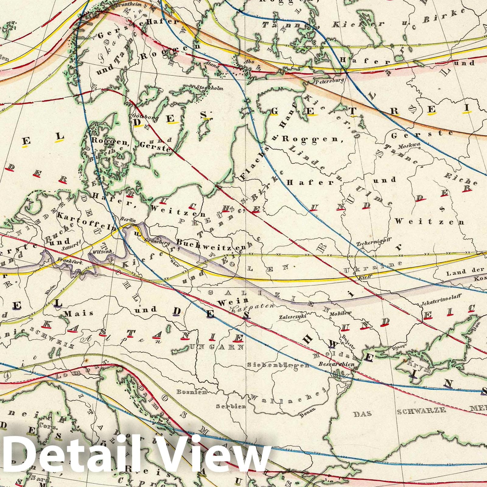Europe - Vegetation Map, 1839 - Historical Map Print