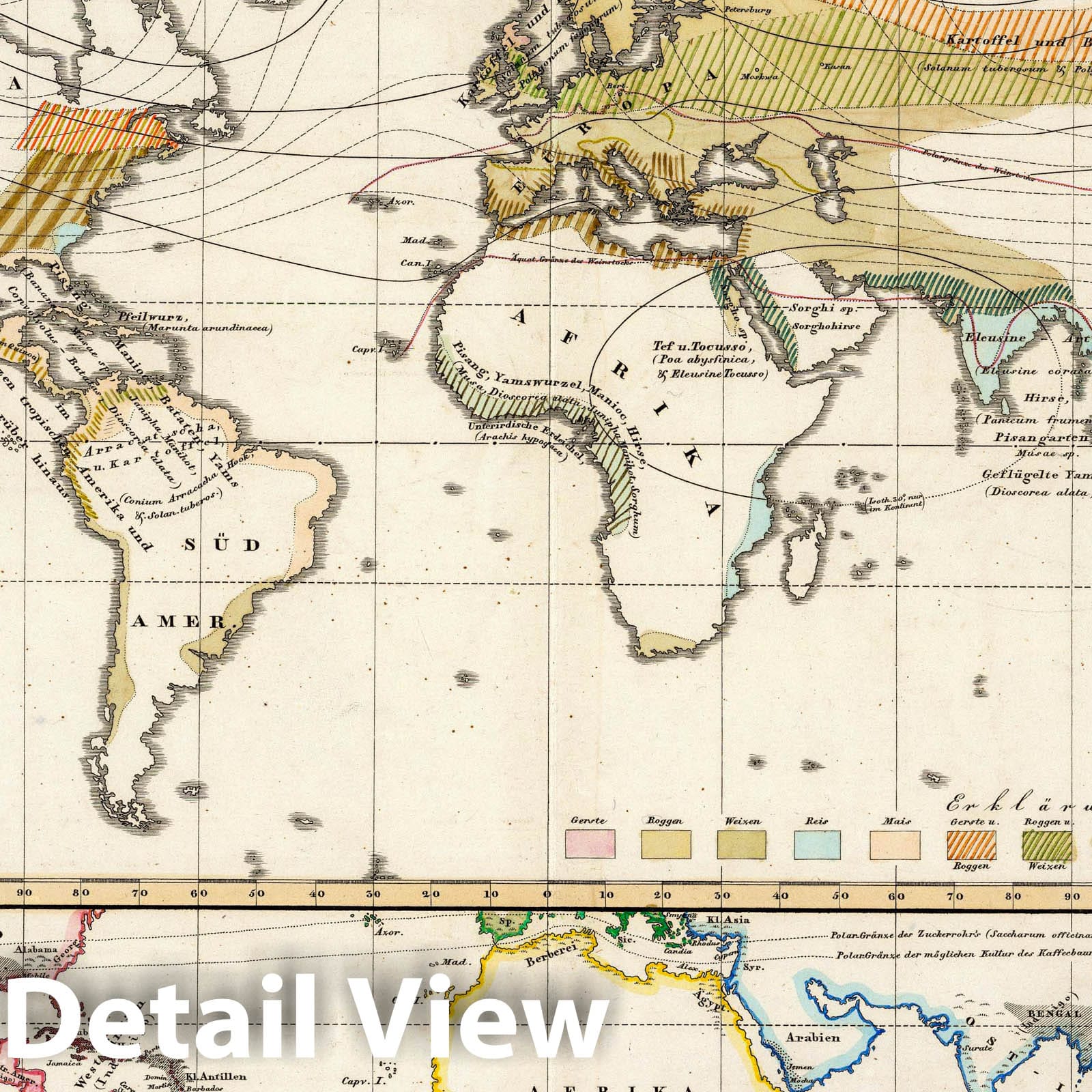 World - Distribution of Cultivated Plants, 1839 - Historical Map Print