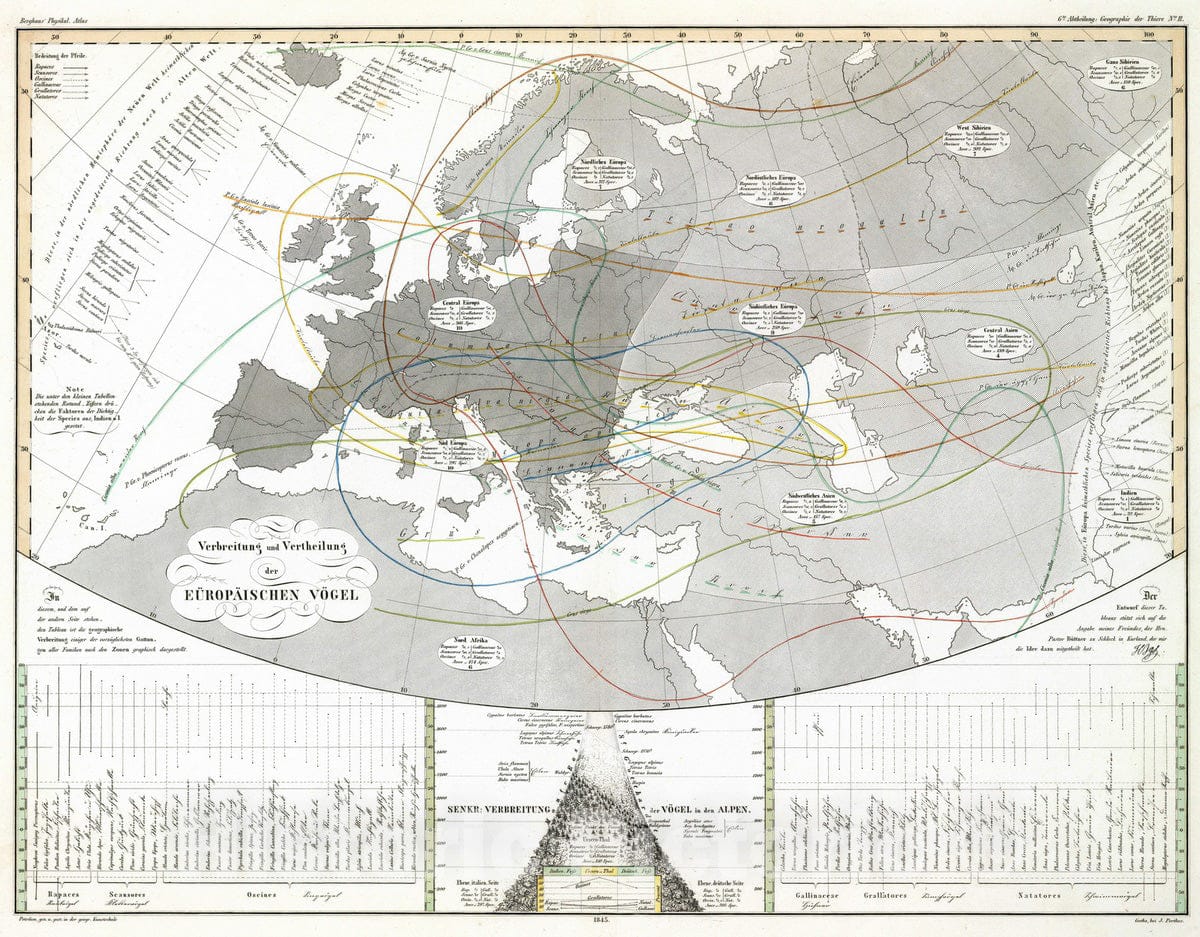 Historic Map : 1845 Verbreitung und Vertheilung der Europaischen Vogel. - Vintage Wall Art